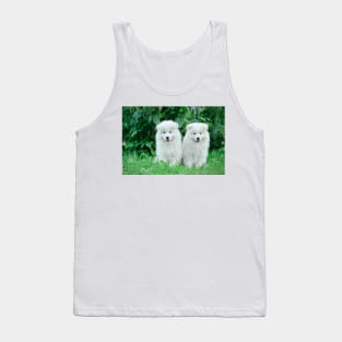 Samoyed puppies portrait Tank Top